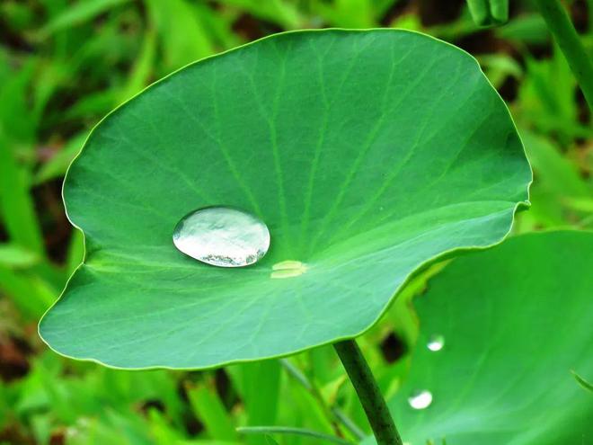 弹开雨天也能大胆穿！这双运动鞋竟然遇水就(图15)